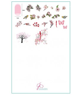 Stor stämpelplatta, Asian...