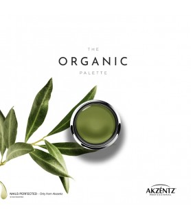 Gel Play Paint Olive 4g