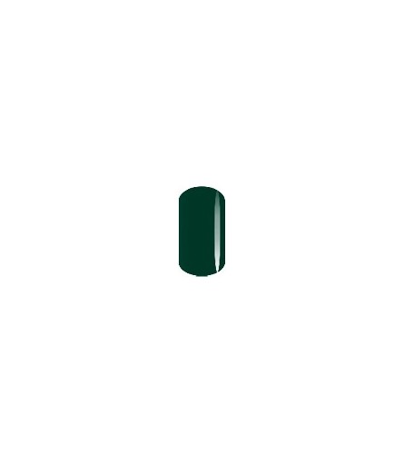 Fortune 15ml